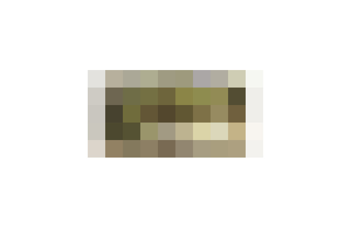  / #13