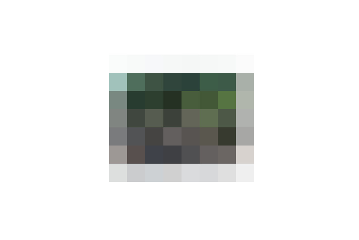  / #16