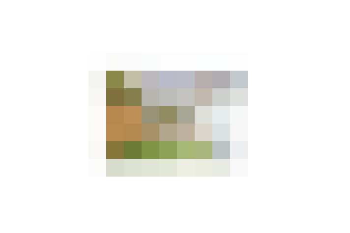  / #16