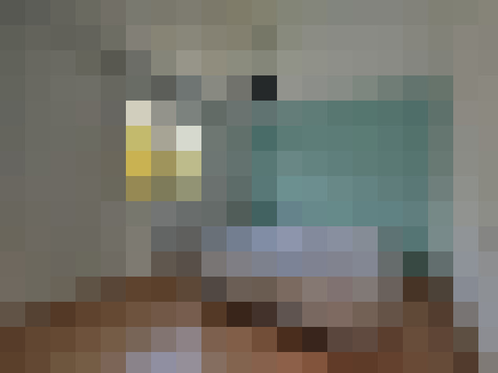  / #7