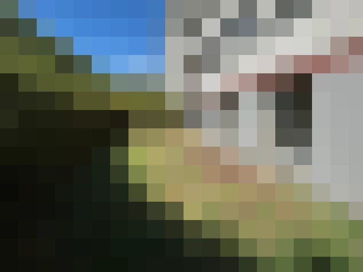  / #8