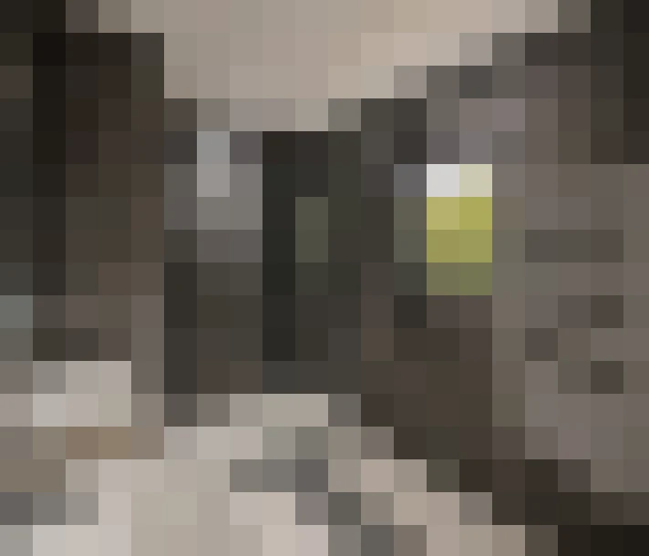  / #12