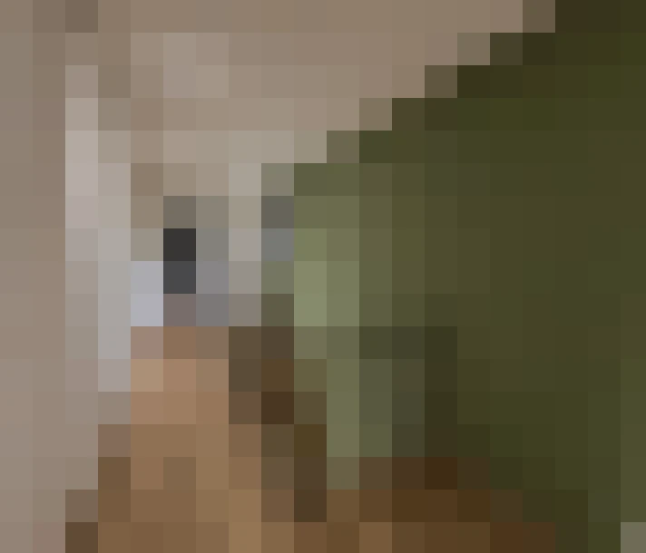  / #8
