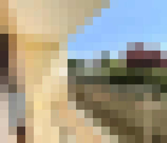  / #11