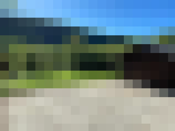  / #14