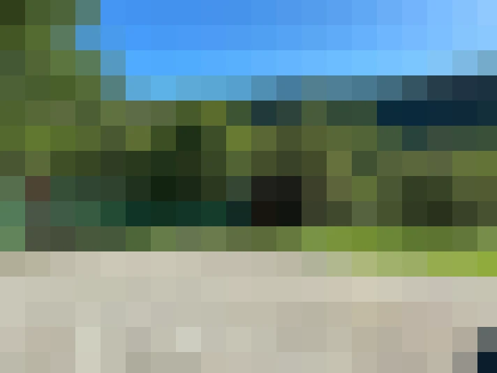  / #15