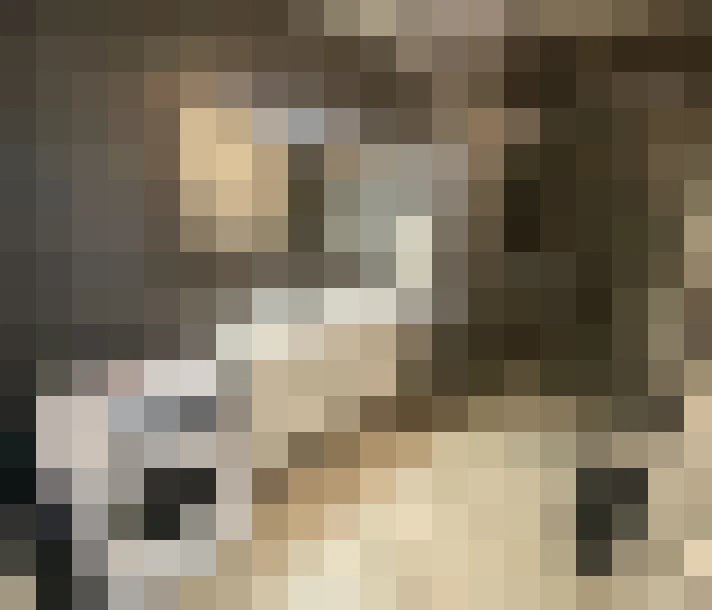  / #11