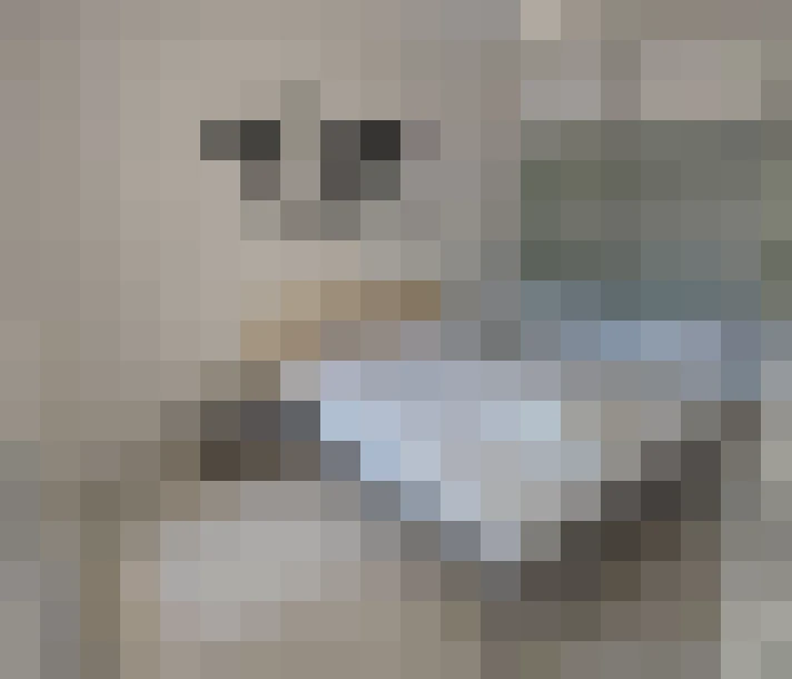  / #8