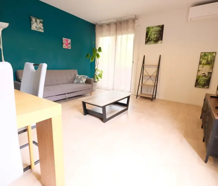 Voir la photo 1/16 du type apartment à Toulouse