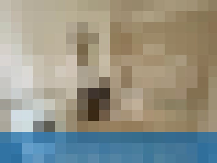 / #8