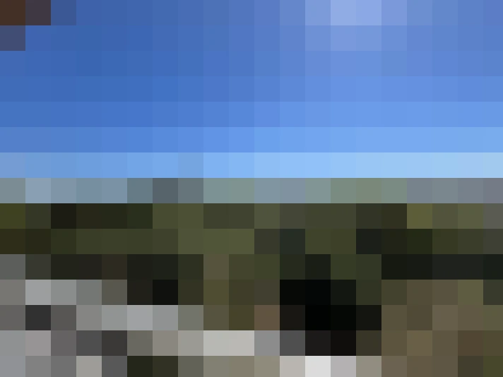  / #7