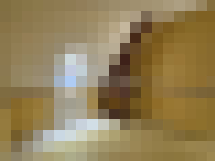  / #8