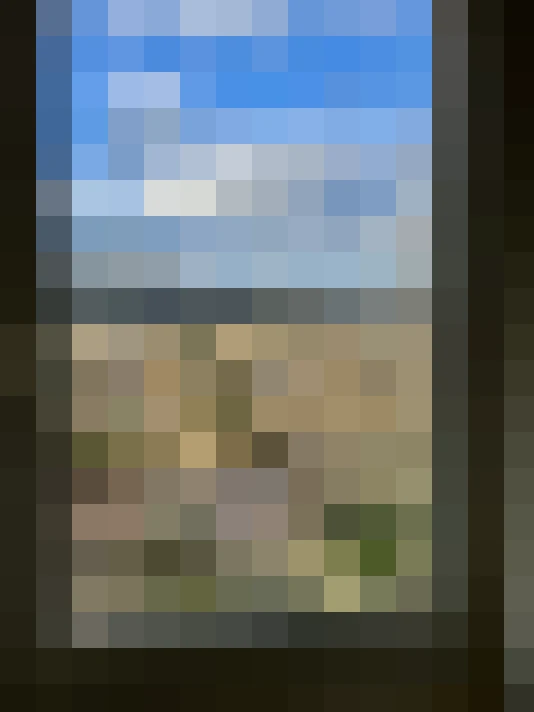  / #5