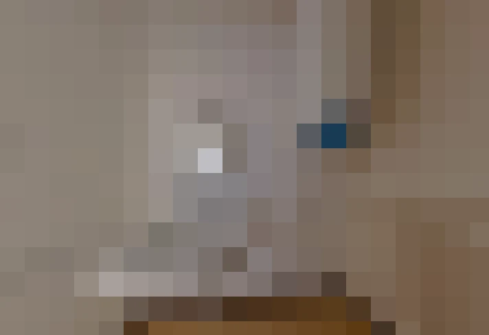  / #13