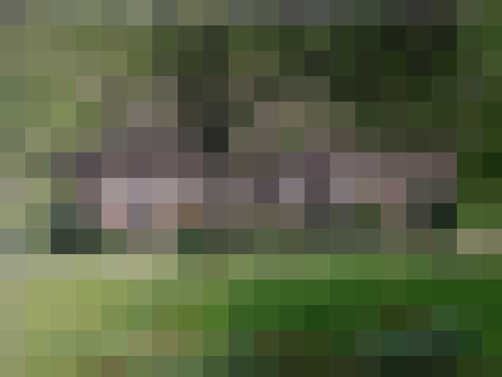  / #16