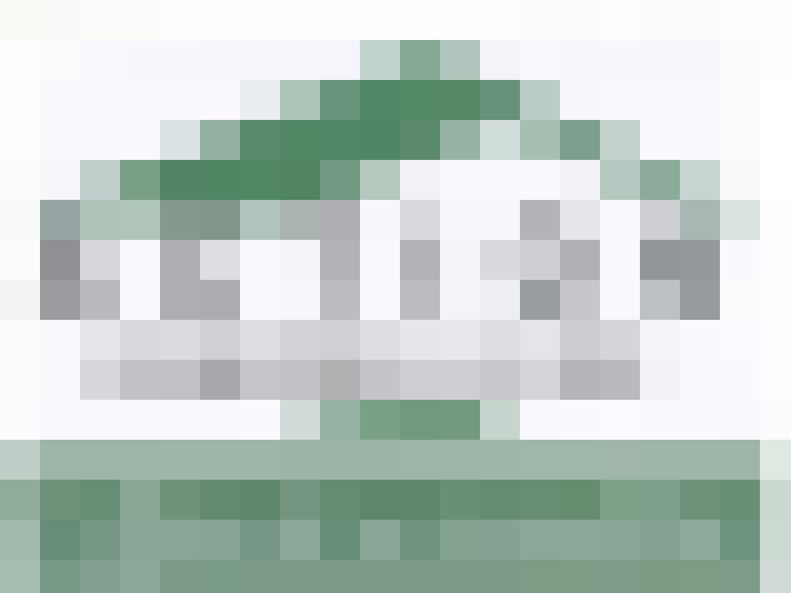  / #19