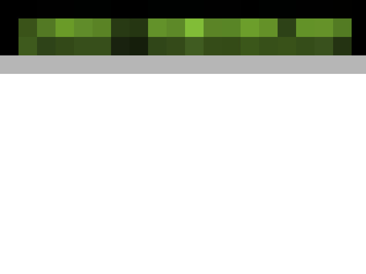  / #19