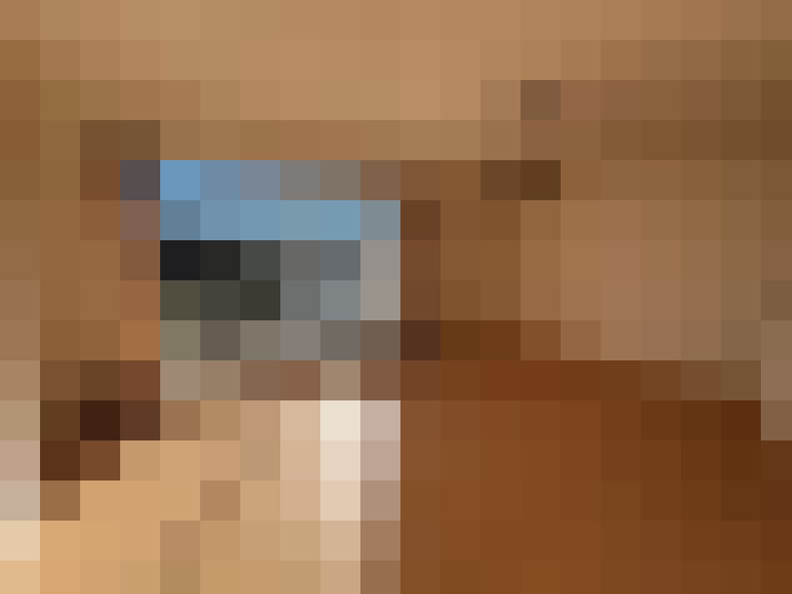  / #4