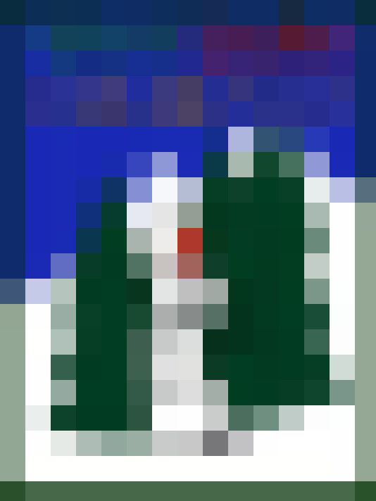  / #31