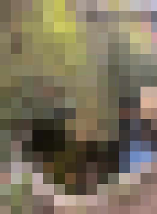  / #15