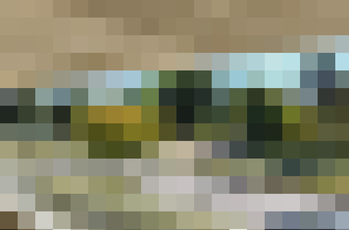  / #15