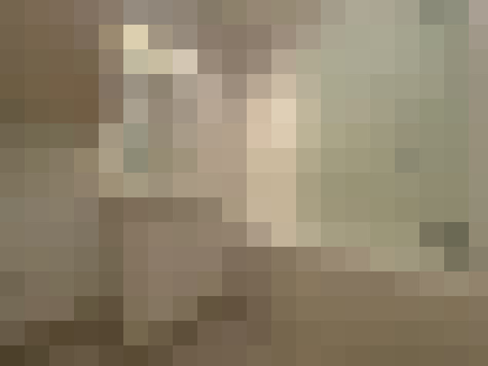  / #12