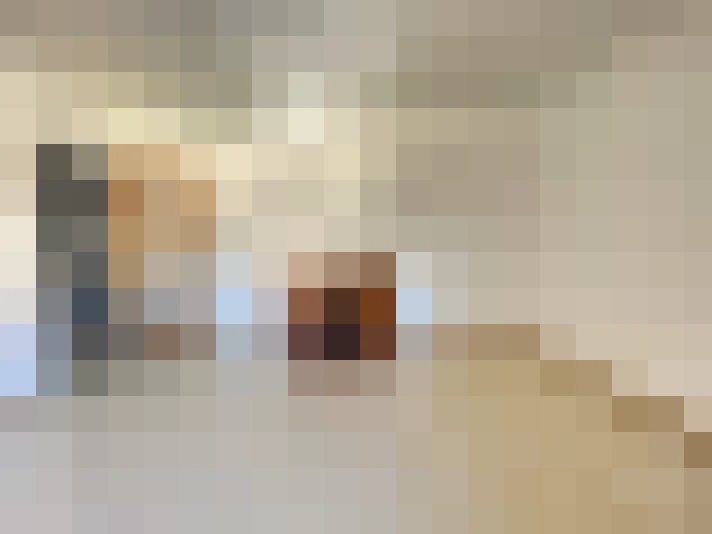  / #14