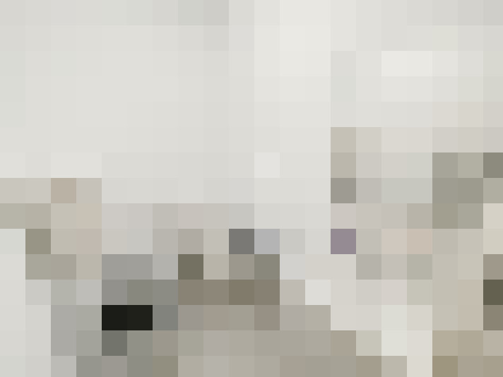  / #17