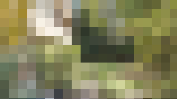  / #17
