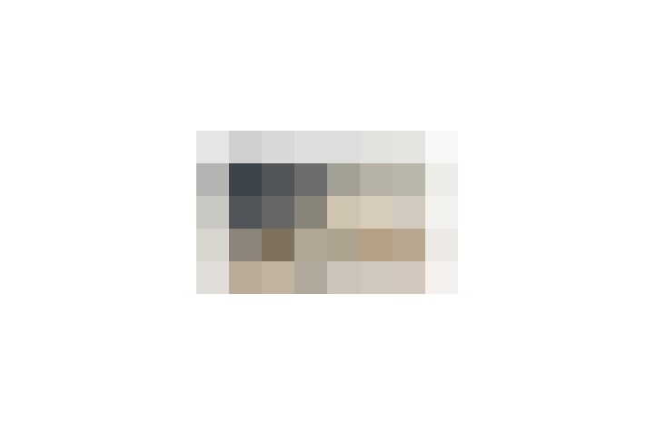  / #19
