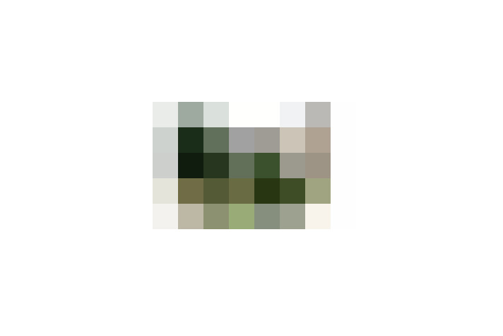  / #8
