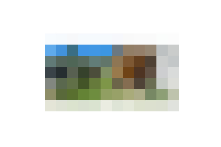  / #7