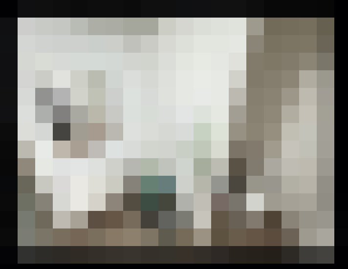  / #8