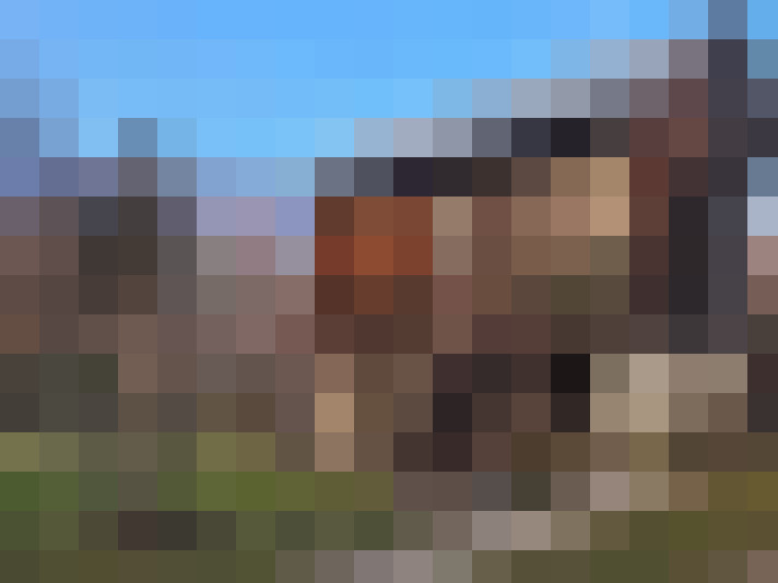  / #14