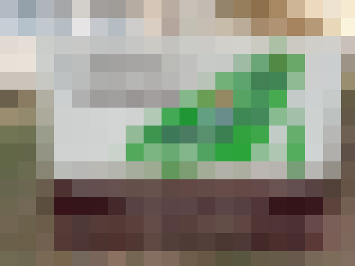  / #18
