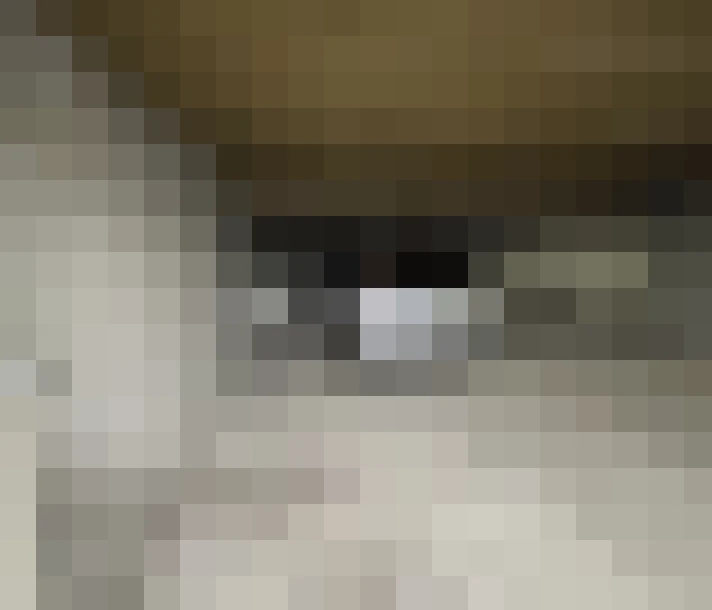  / #18