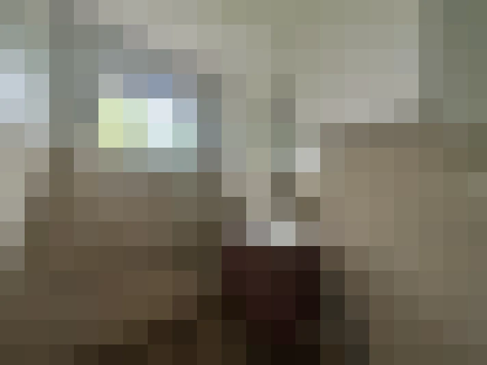  / #15