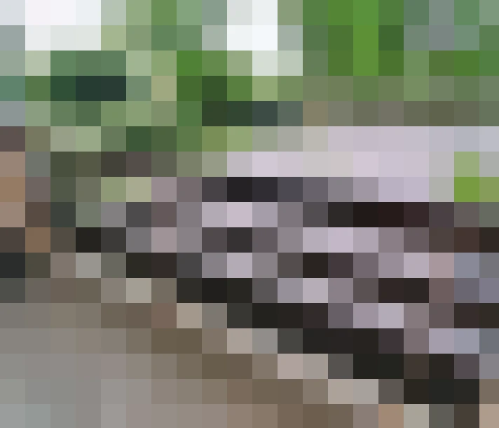  / #8