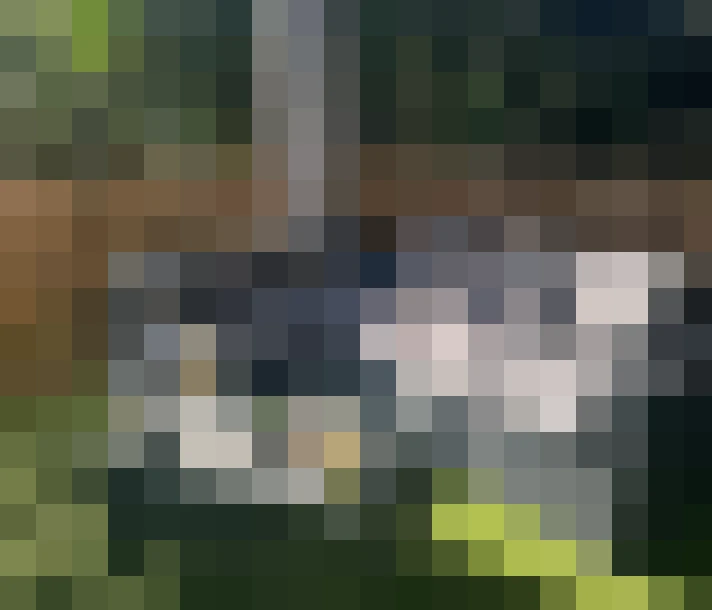  / #14