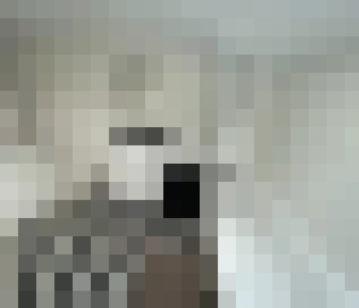  / #14