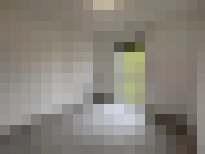 / #11