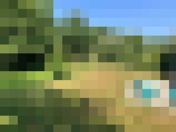  / #13