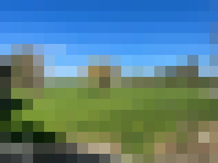  / #7