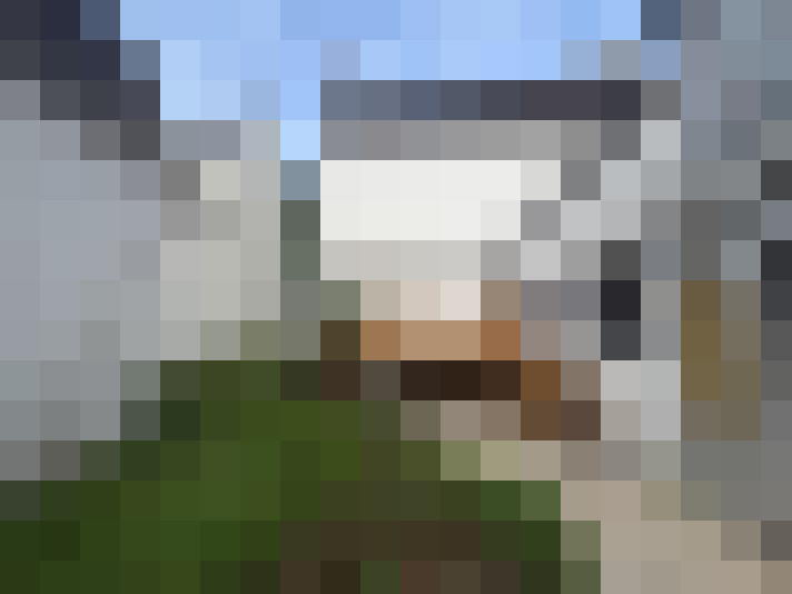  / #16