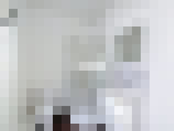  / #15