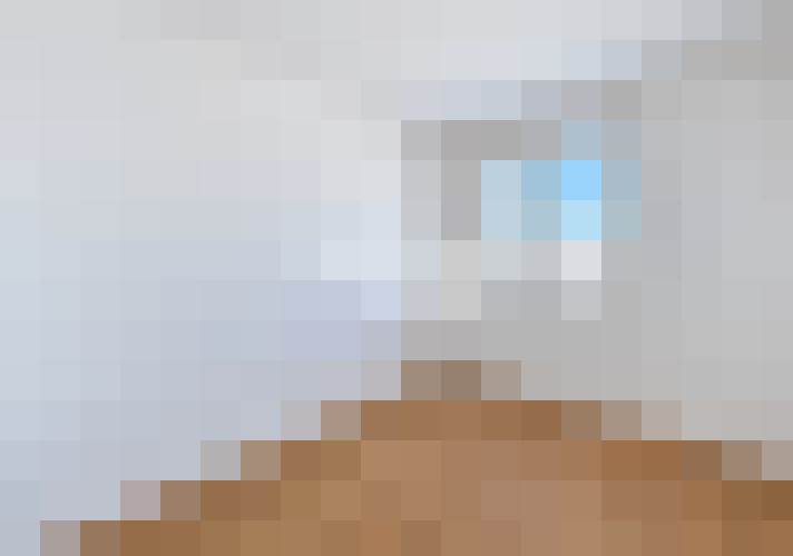  / #14