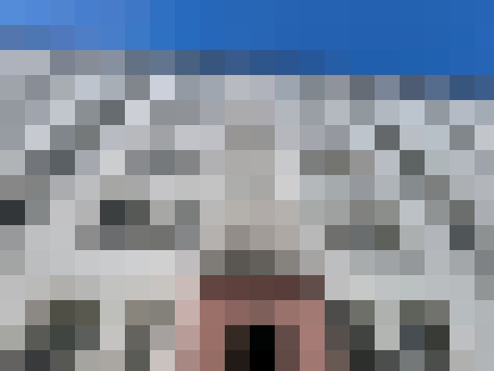  / #17