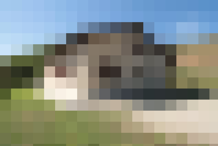  / #18