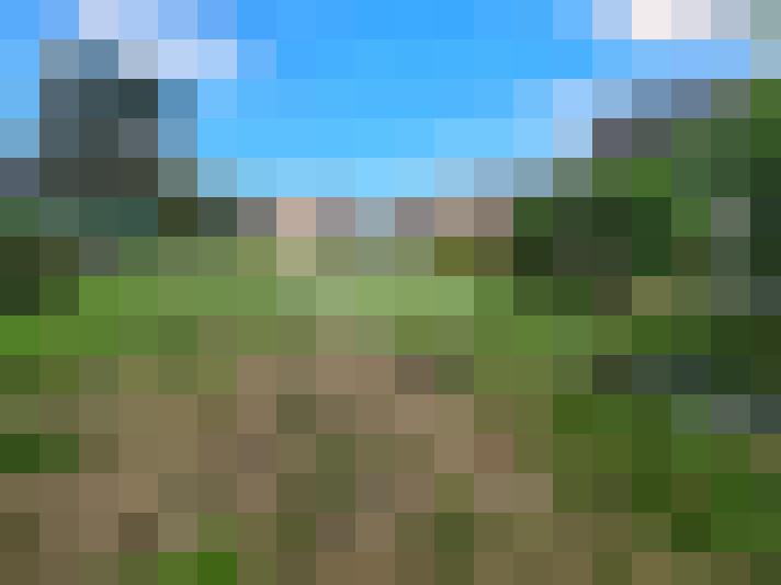  / #15