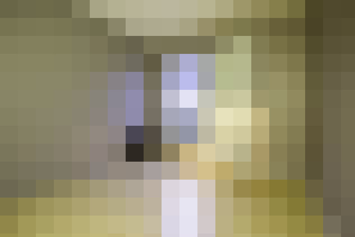  / #7